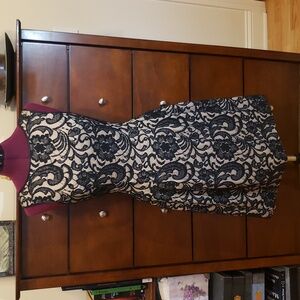 Aidan Mattox Black Lace, 100% Silk Nude Lining Fit & Flare Evening Dress, Size 6